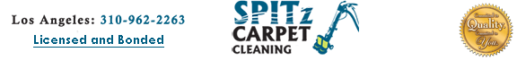 Welcome To SPITz Carpet Cleaning In Los Angeles!logo