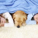 sleeping-on-the-carpet